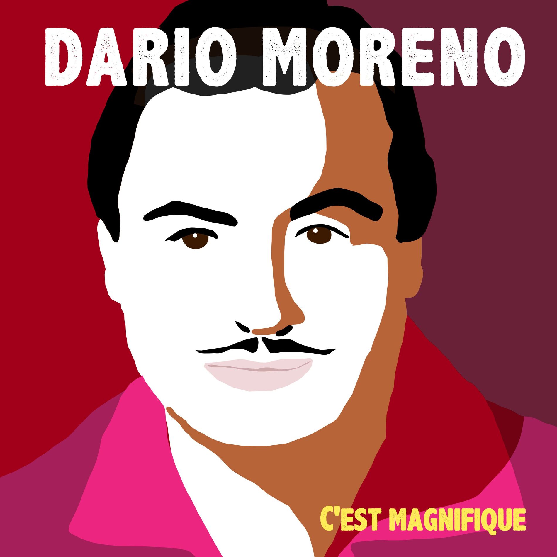 Album cover of C'est magnifique