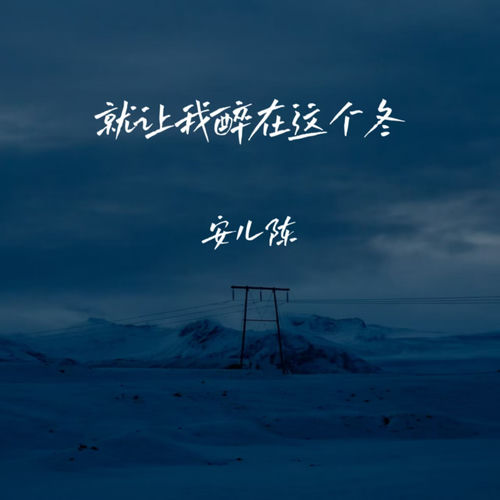 就让我醉在这个冬