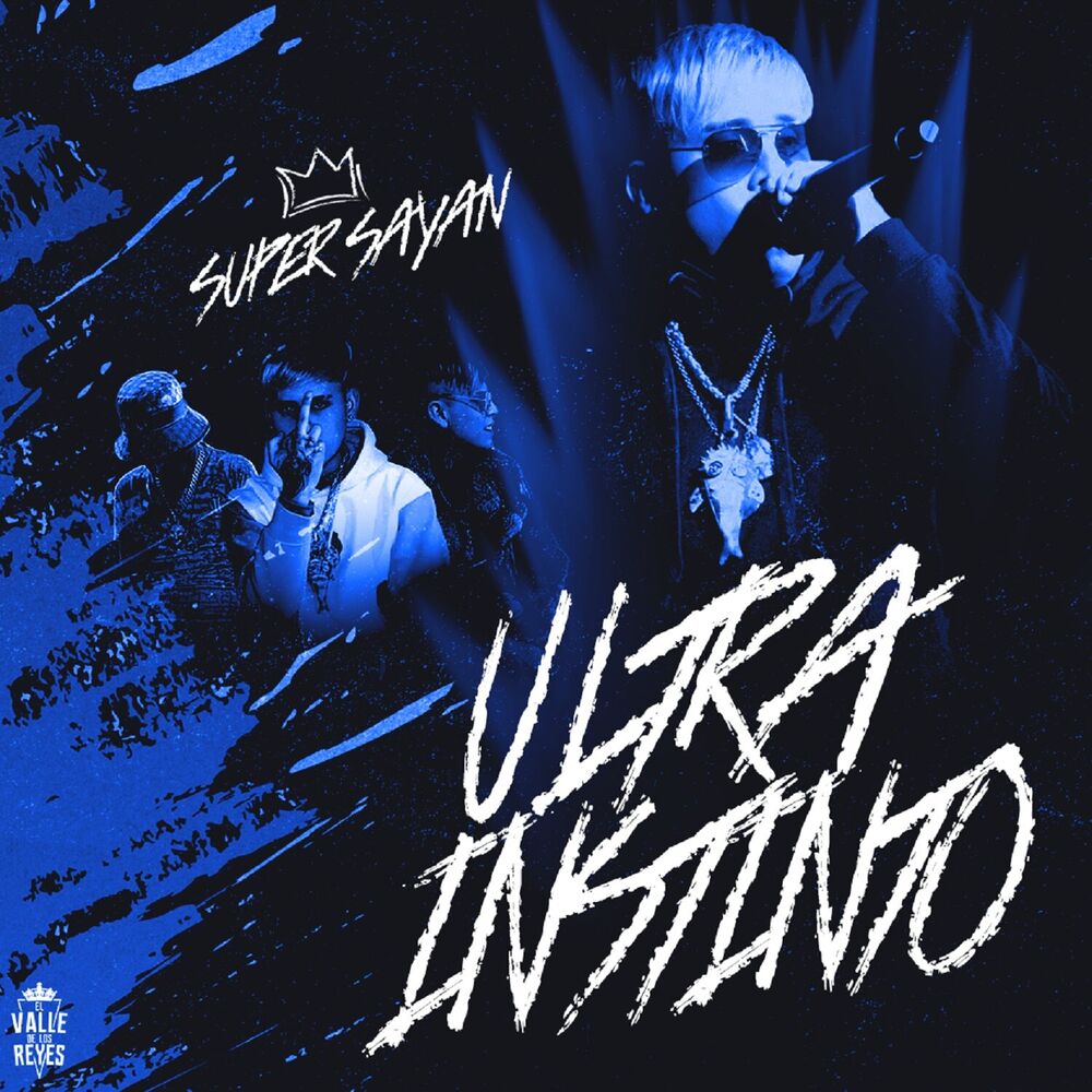 Picture of Ultra Instinto