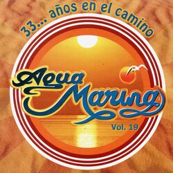 Cover of 33... Año en el Camino, Vol. 19