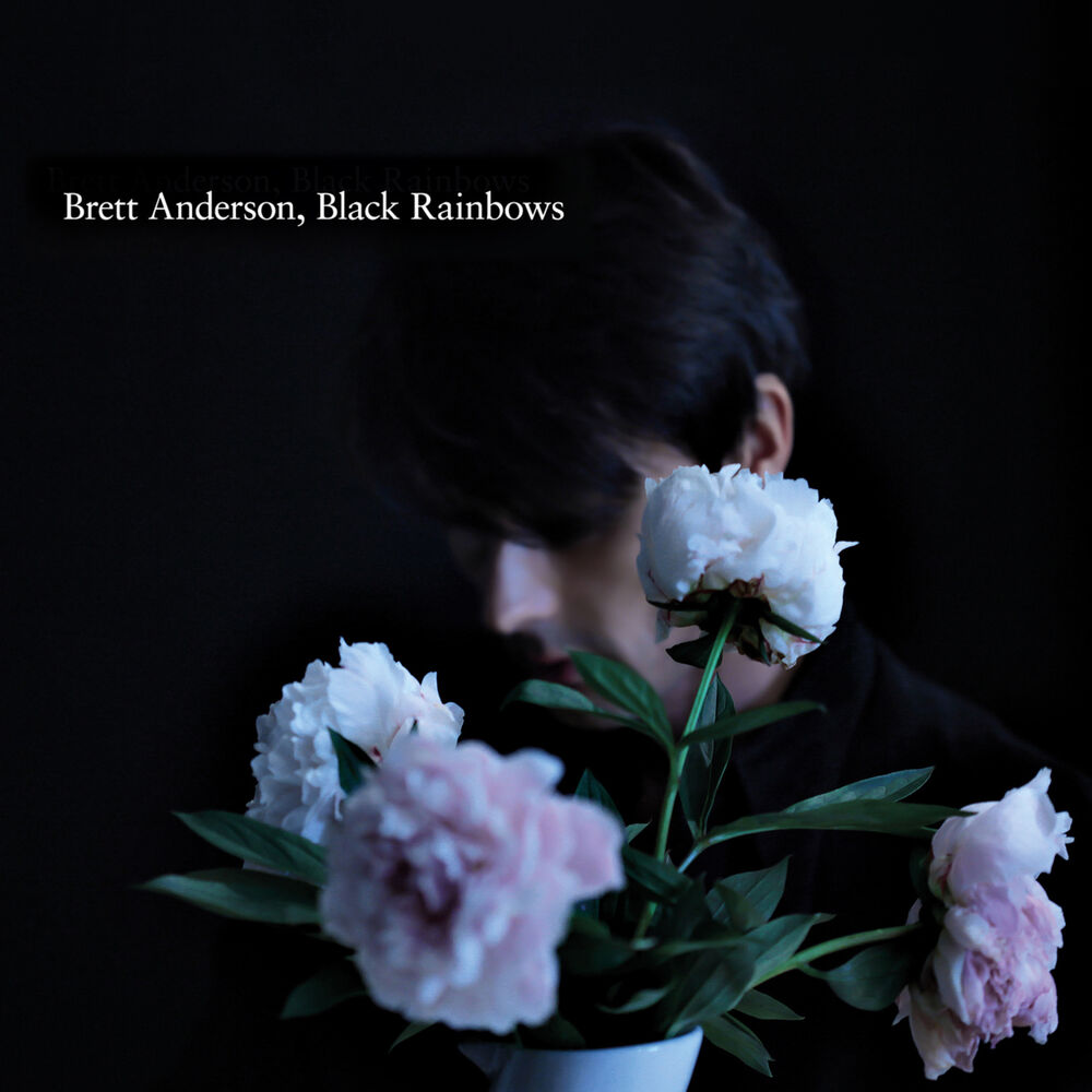 Picture of Black Rainbows