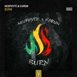 Cover of Burn