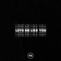 Cover of Love Me Like You