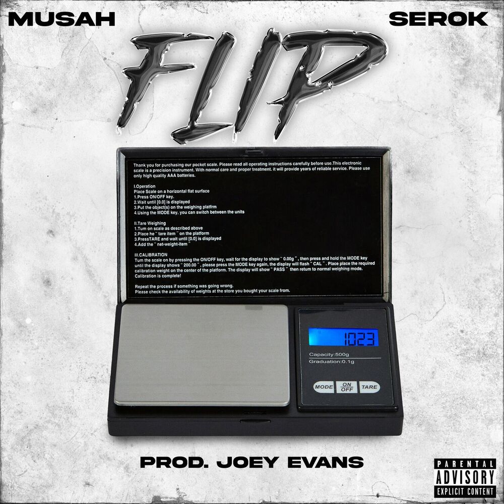 Picture of FLIP