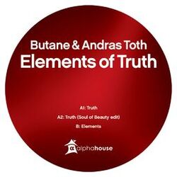 Cover of Elements Of Truth