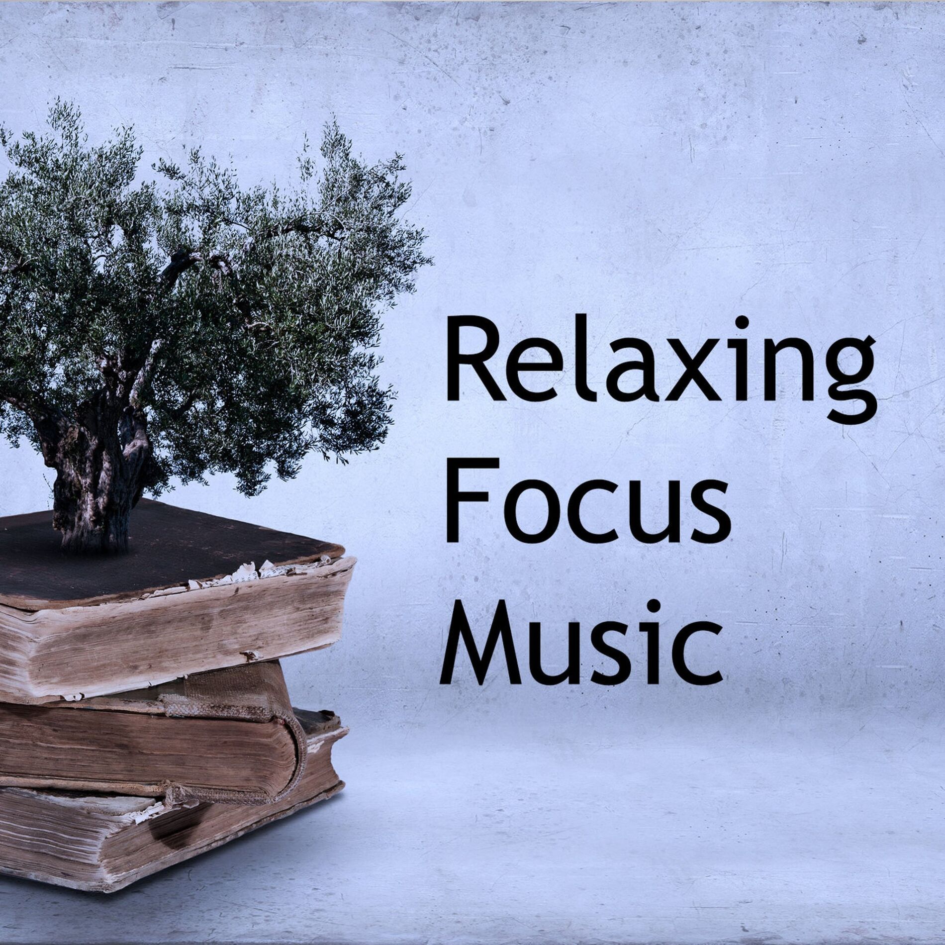 Album picture of Relaxing Focus Music