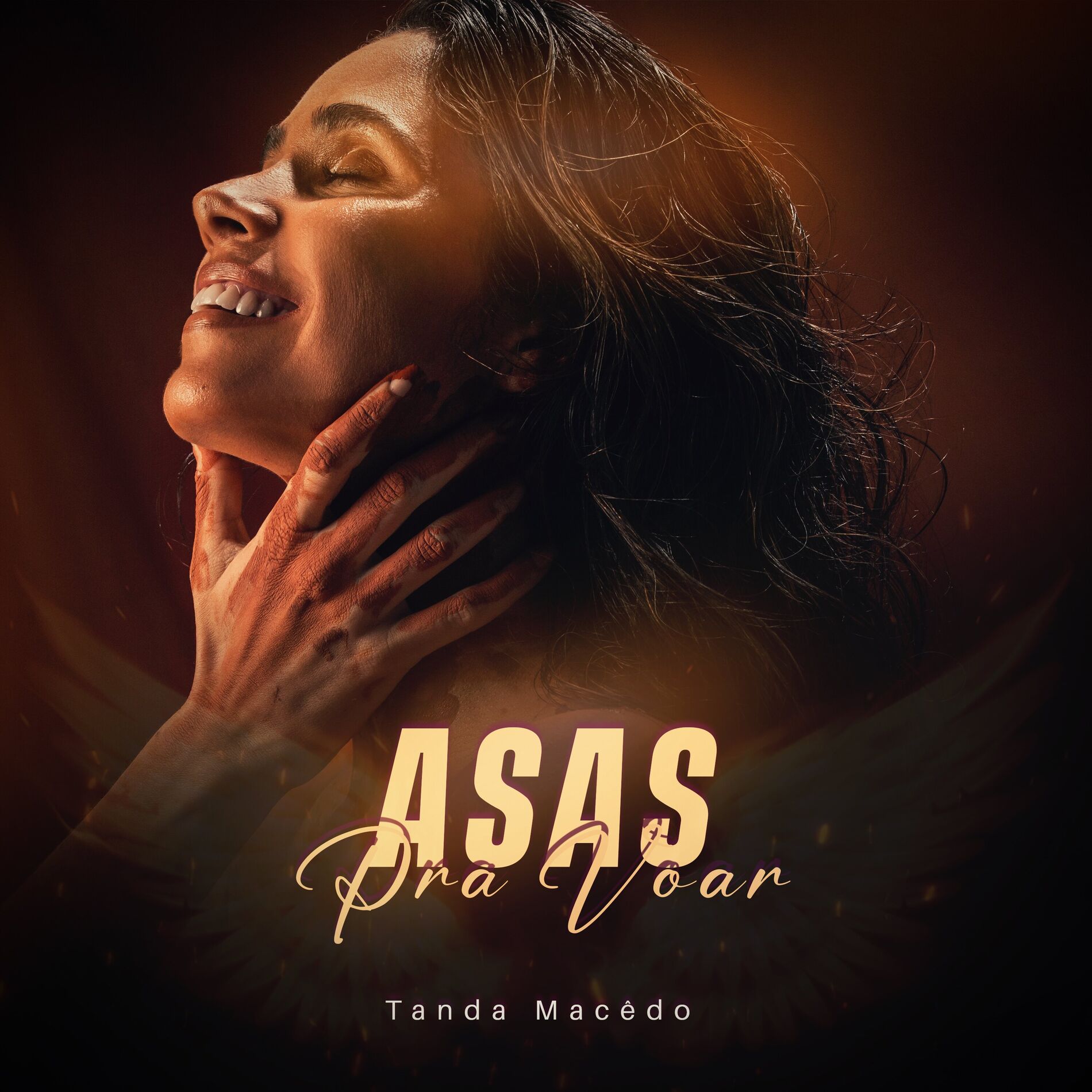 Album cover of Asas Pra Voar