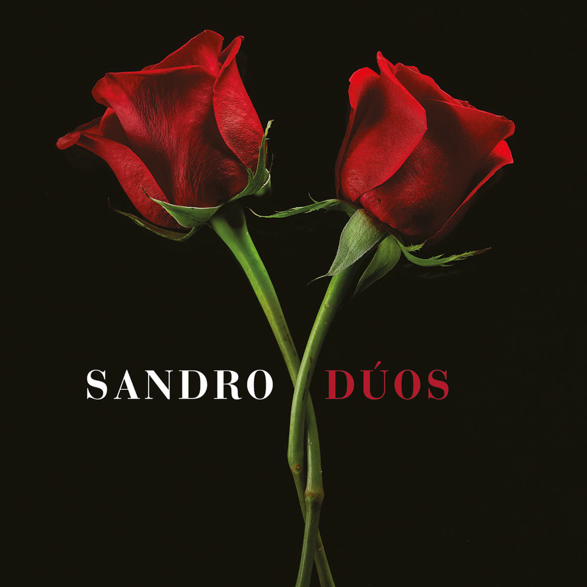 Album cover of Porque Yo Te Amo (feat. Abel Pintos)
