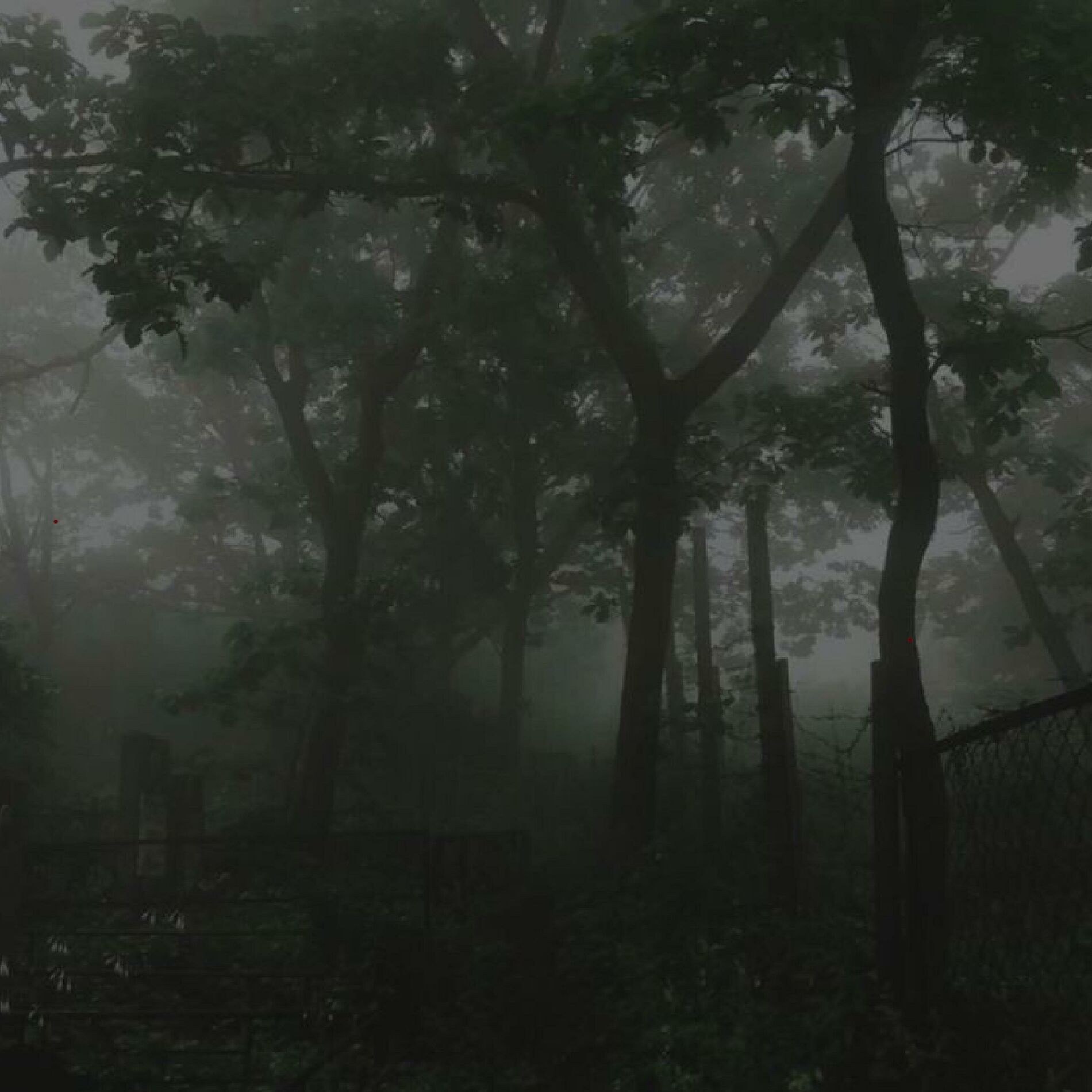 Album cover of smoky