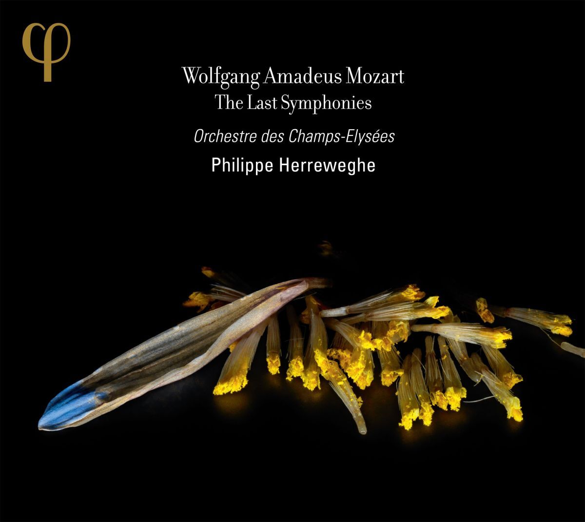 Album cover of Symphony No. 39 in E-Flat Major, K. 543: III. Menuetto (Allegretto) – Trio