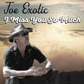 I Miss You so Much