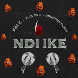 Cover of NDI IKE