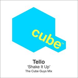 Cover of Shake It Up (The Cube Guys Mix)