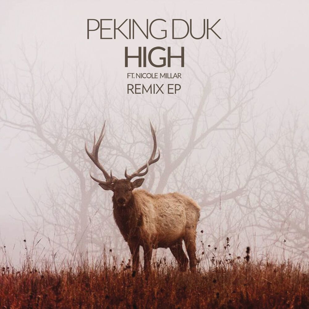 Picture of High (The Remix EP) (feat. Nicole Millar)