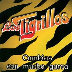Cover of Cumbias Con Mucha Garra