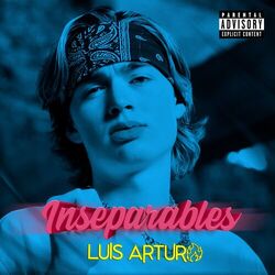 Cover of Inseparables