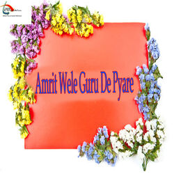 Cover of Amrit Wele Guru De Pyare