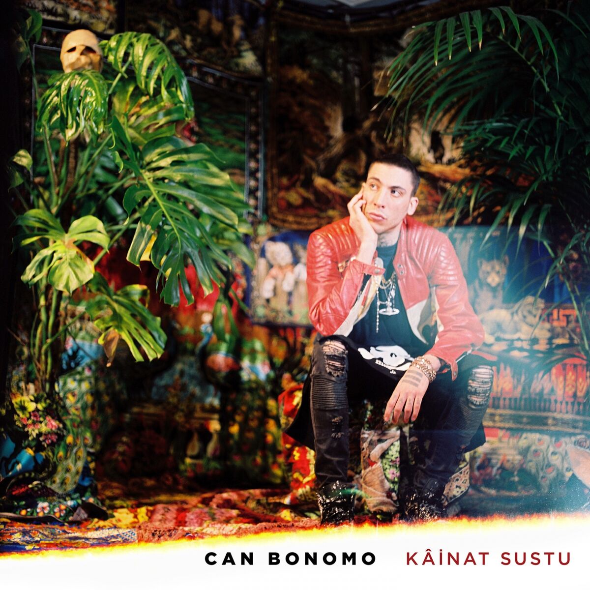Album cover of Yan