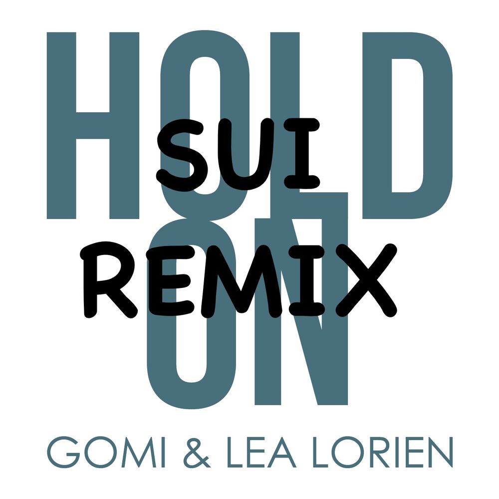 Picture of Hold On (Sui Remix)