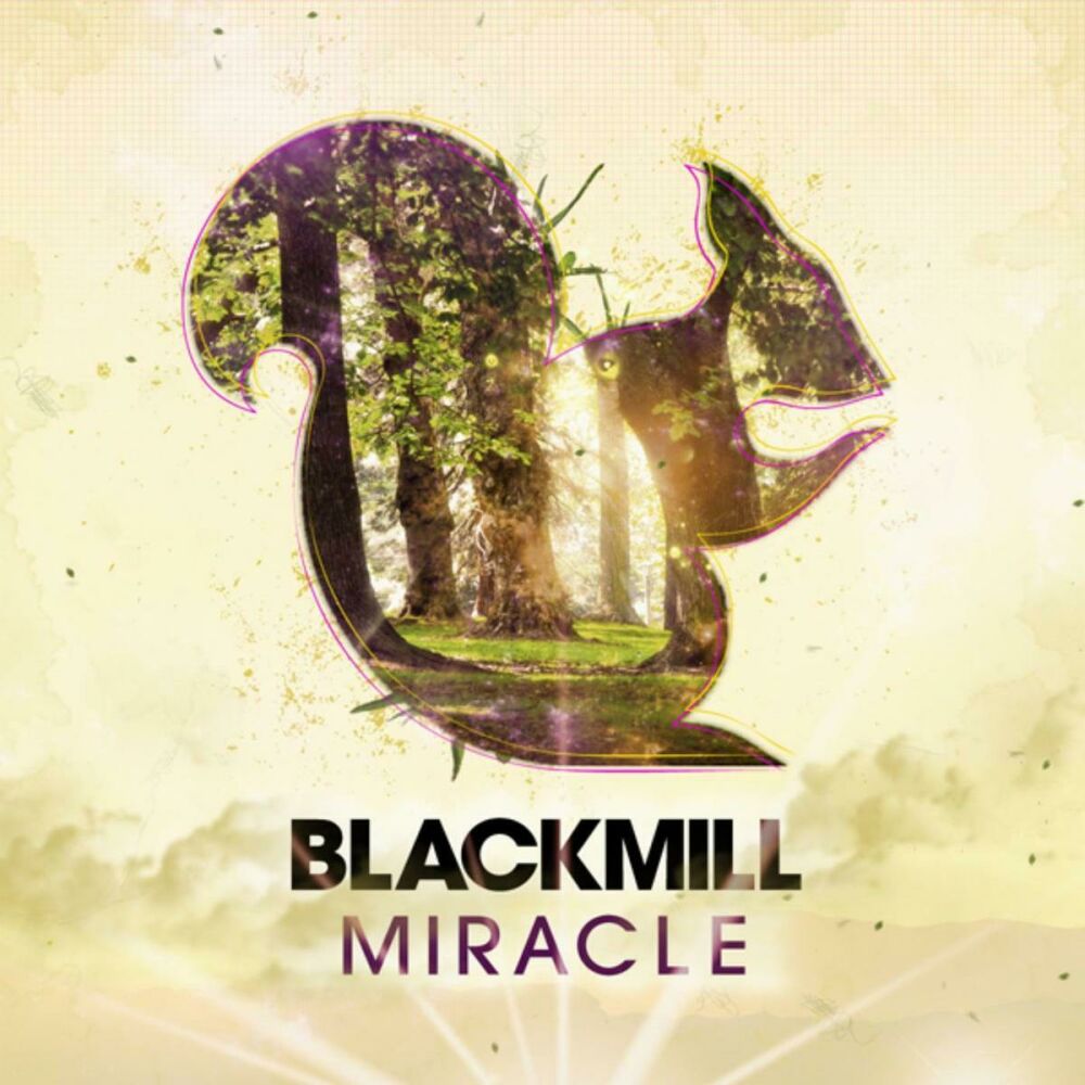 Picture of Miracle