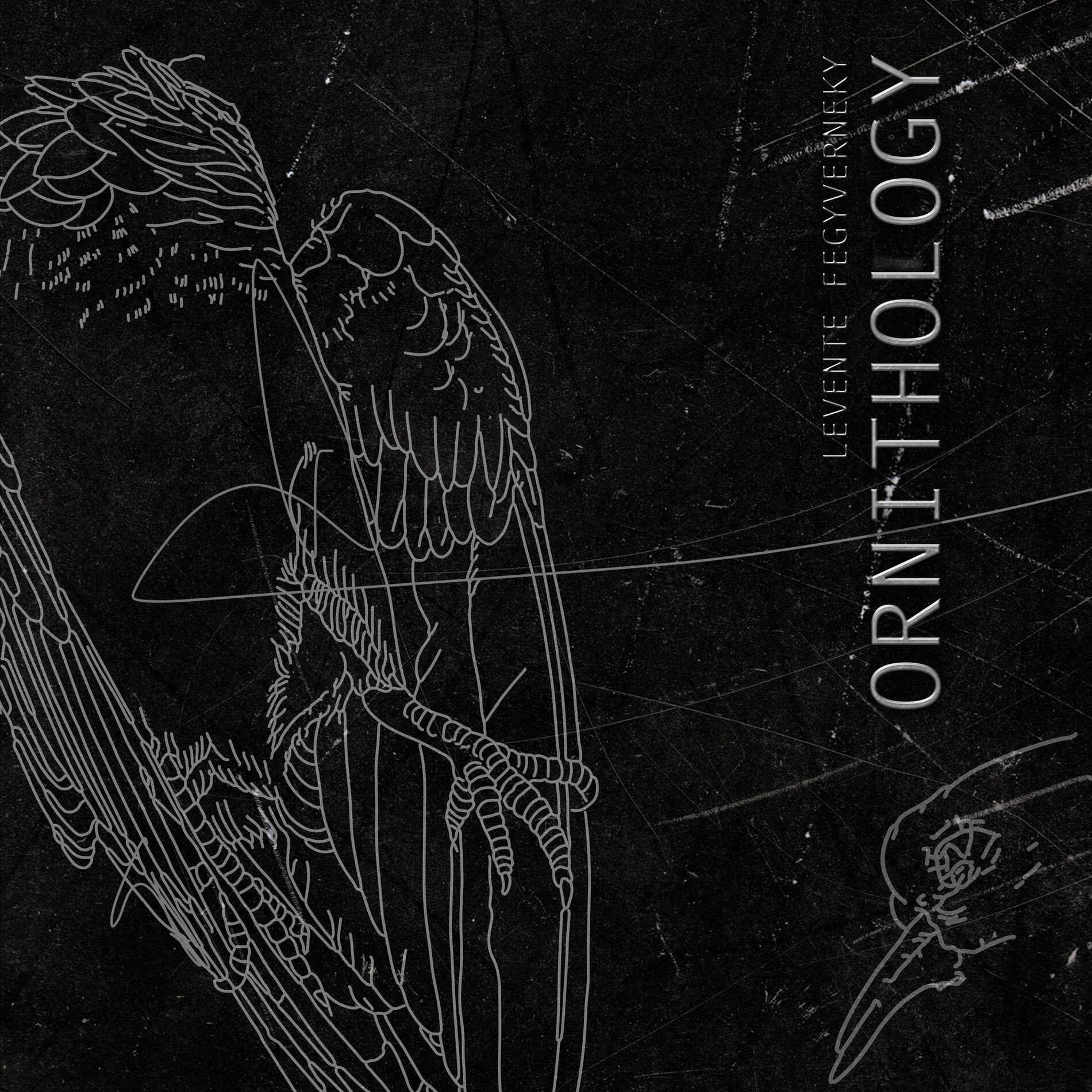 Album cover of Ornithology