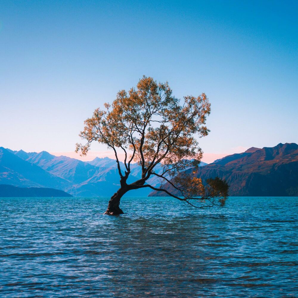 Picture of Crossroads of Healing and Pain