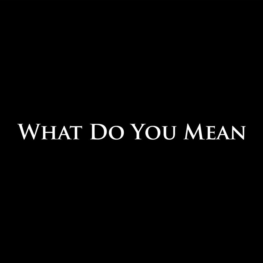 Picture of What Do You Mean