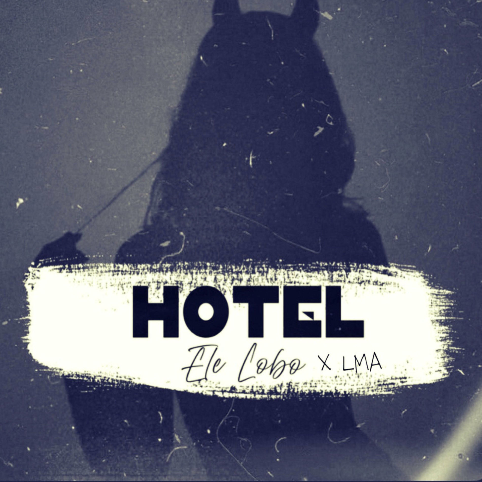 Album cover of Hotel (feat. LMA) [Remix]