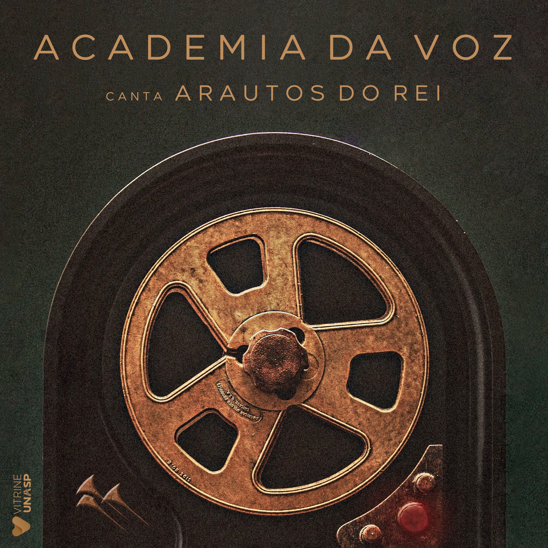 Album cover of Academia da Voz Canta Arautos do Rei