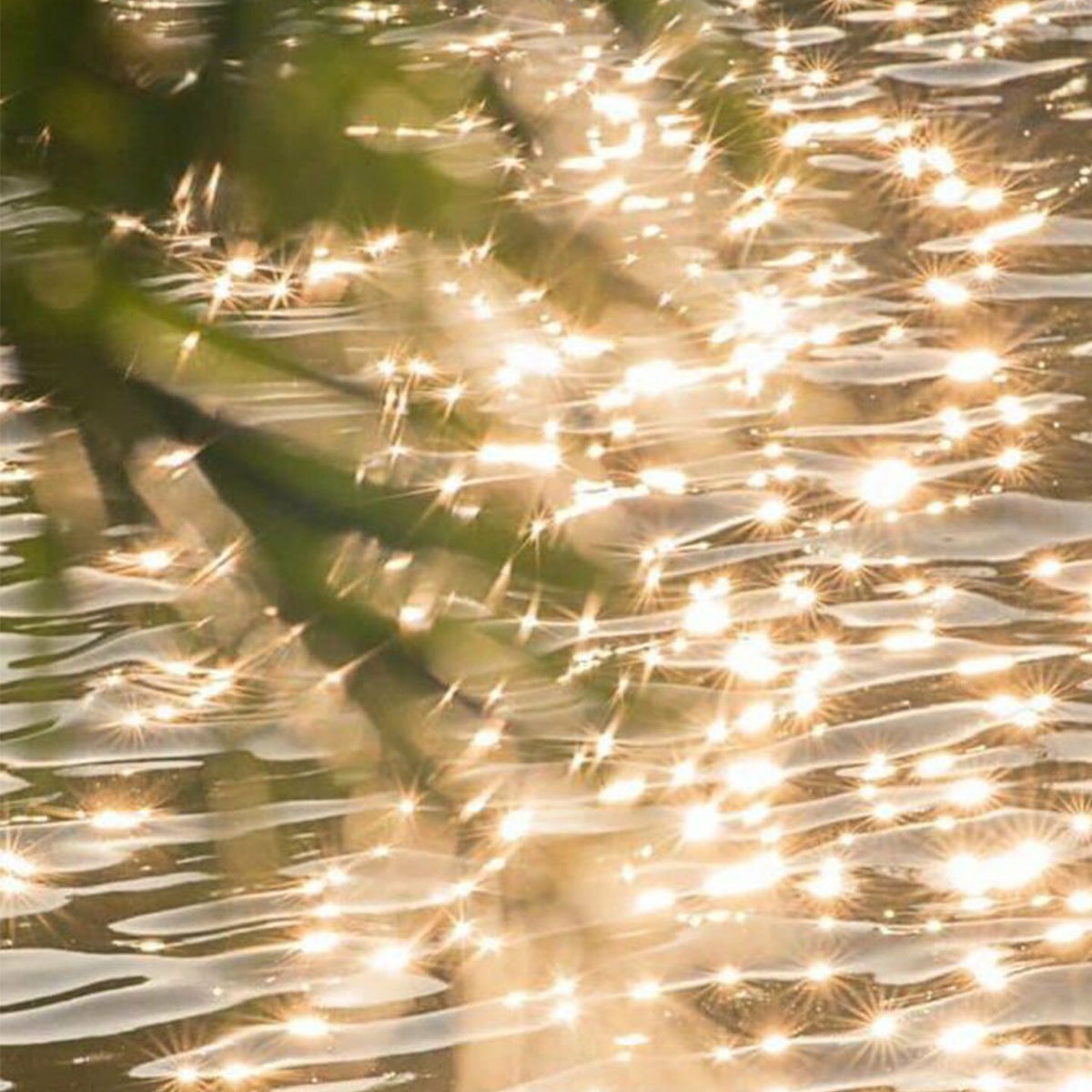 Album cover of Ocean Serenade