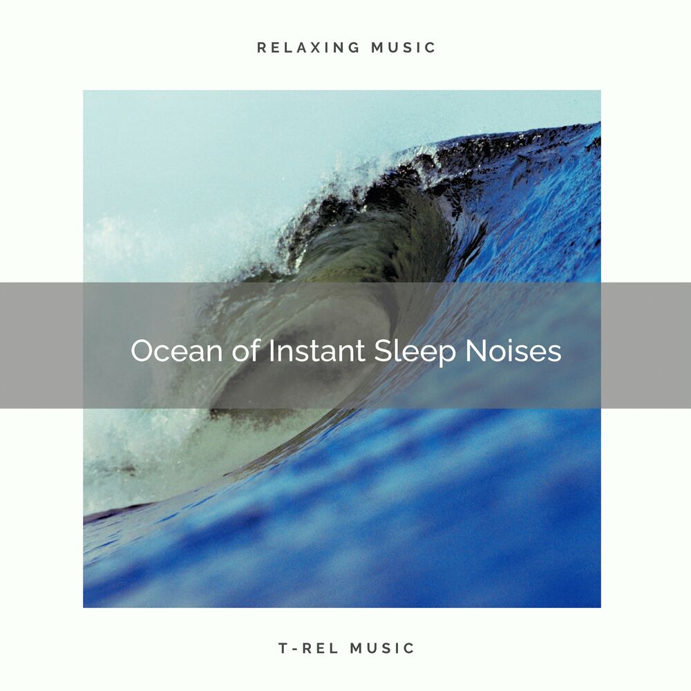 Picture of 2021 Ocean of Instant Sleep Noises