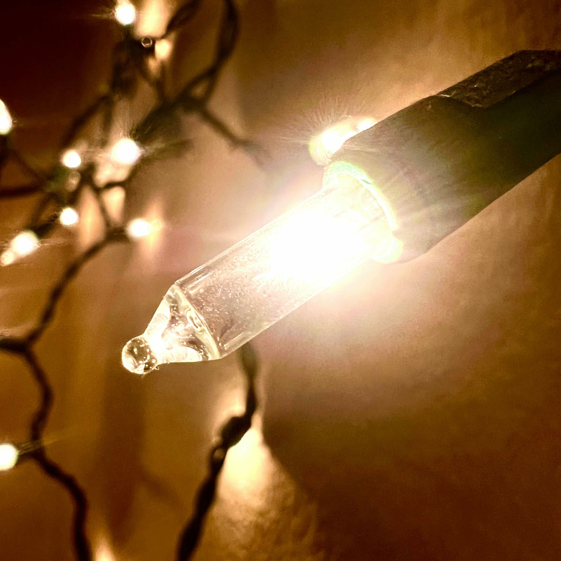 Album cover of Conscious