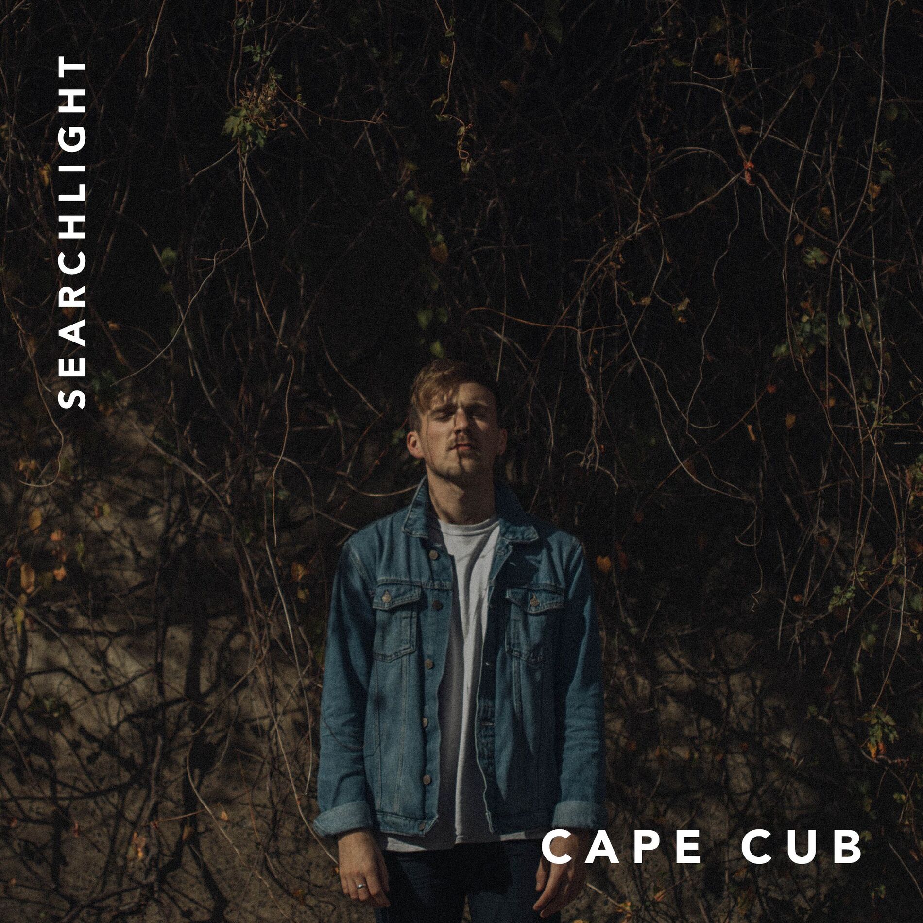 Album cover of Searchlight