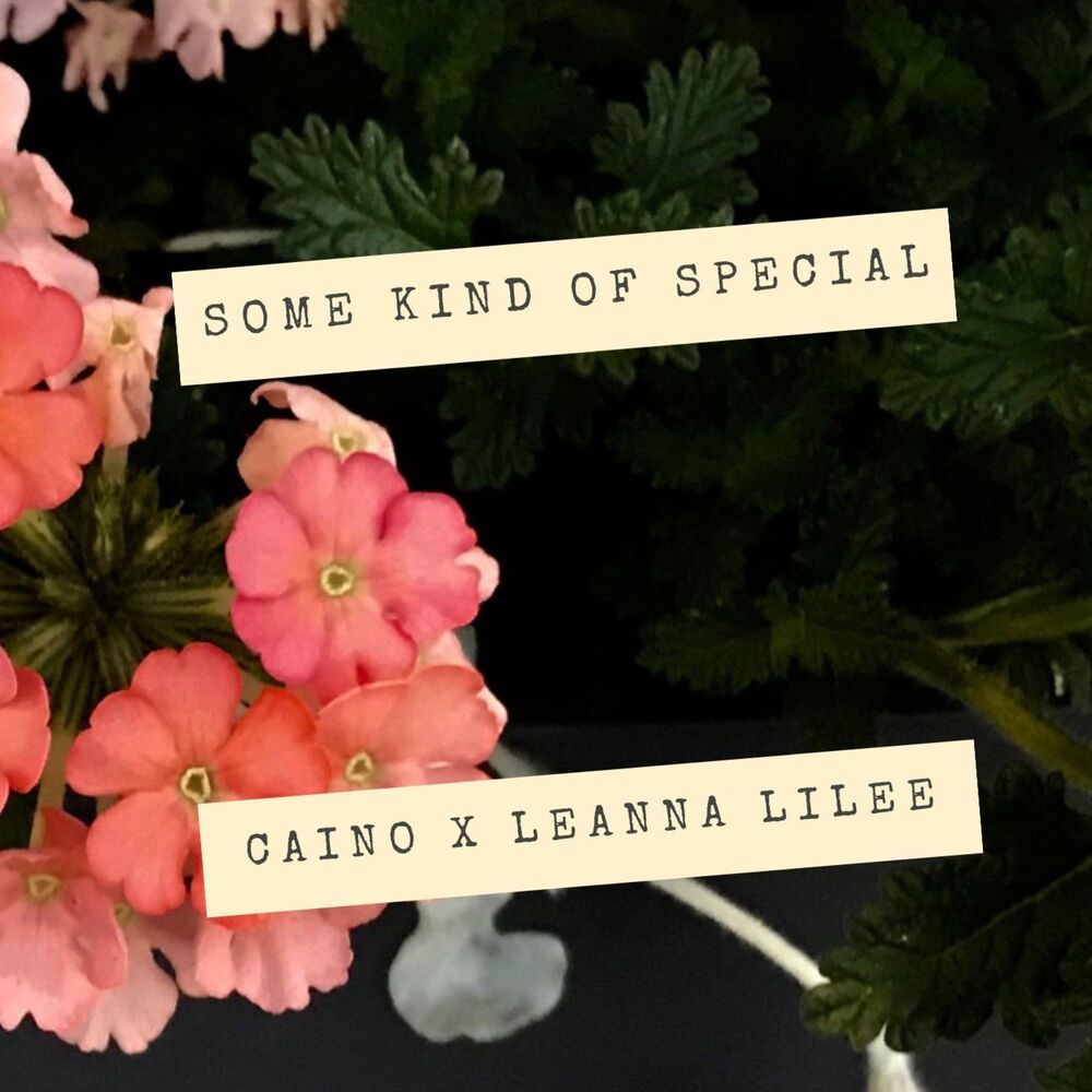 Picture of Some Kind of Special (feat. Leanna Lilee)