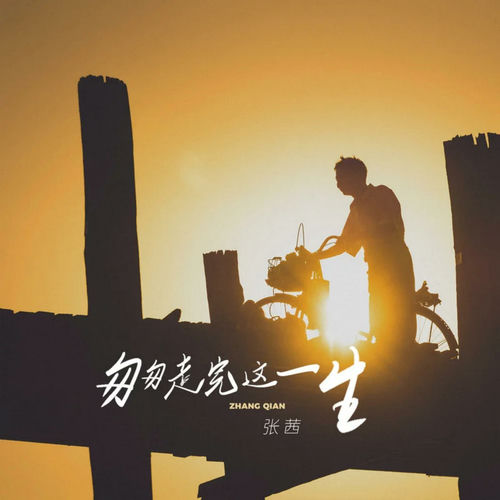 匆匆走完这一生 (DJ大锅饭版)