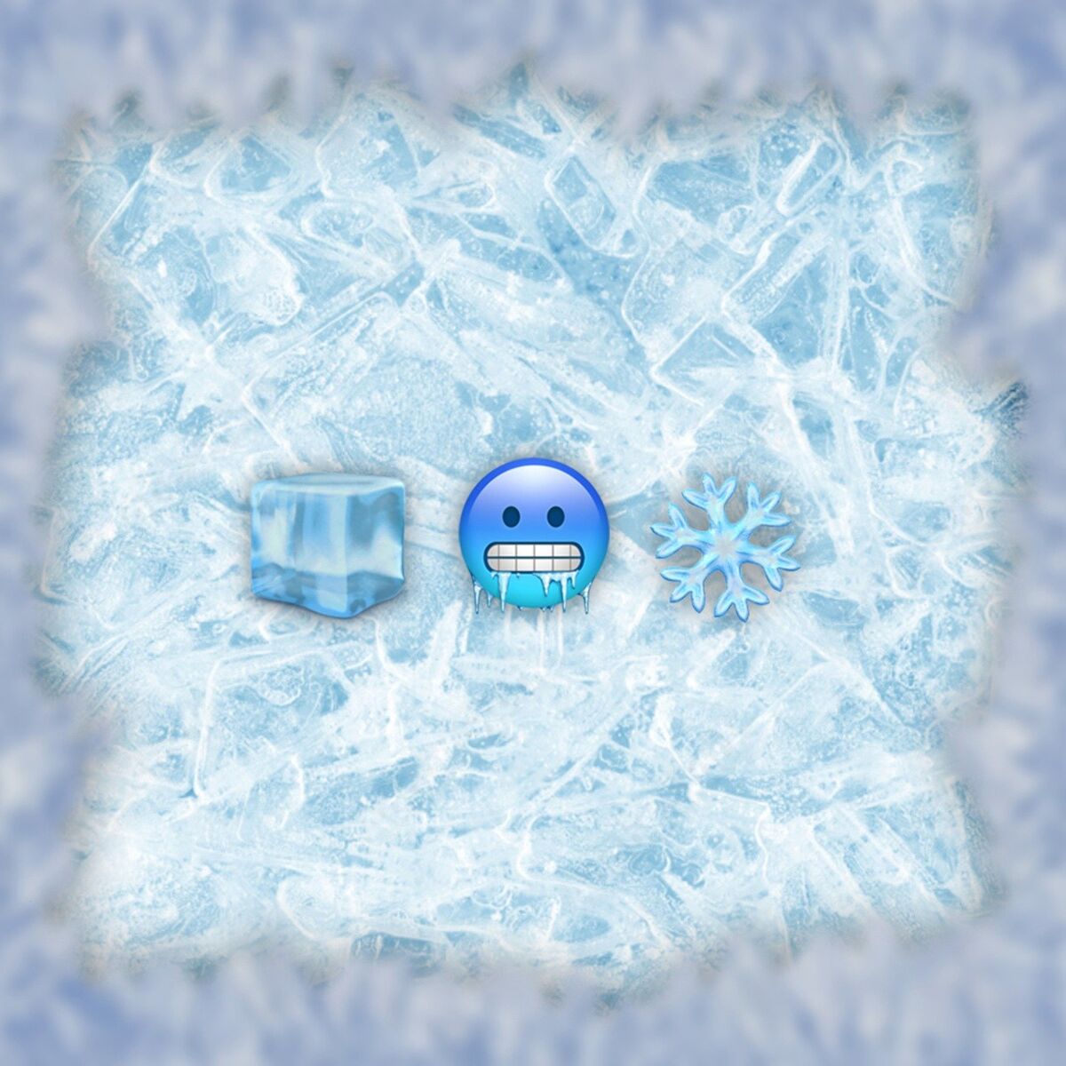 Album cover of Frostbite
