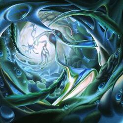 Cover of Wormhole Worms