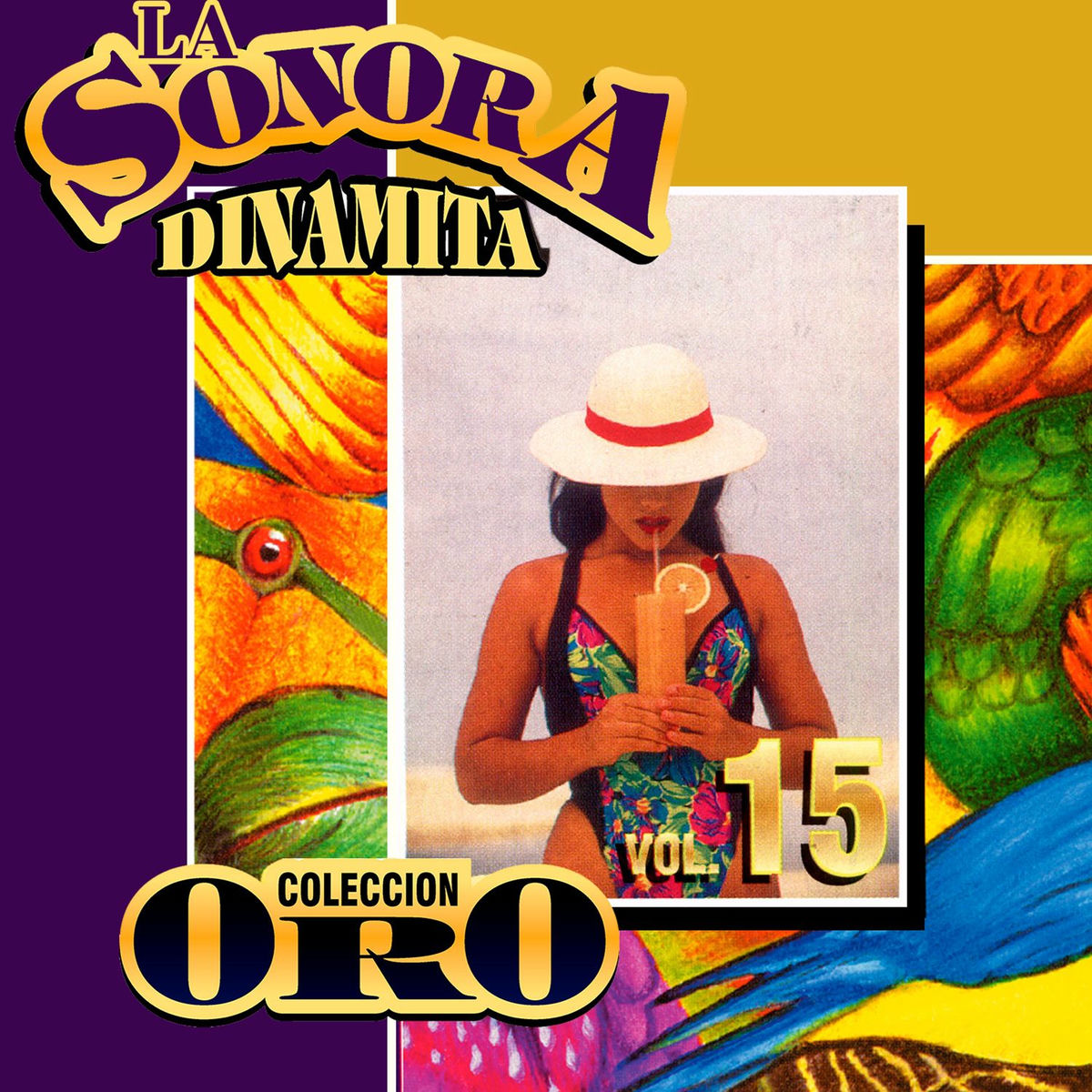 Album cover of Colección Oro la Sonora Dinamita (Vol.)
