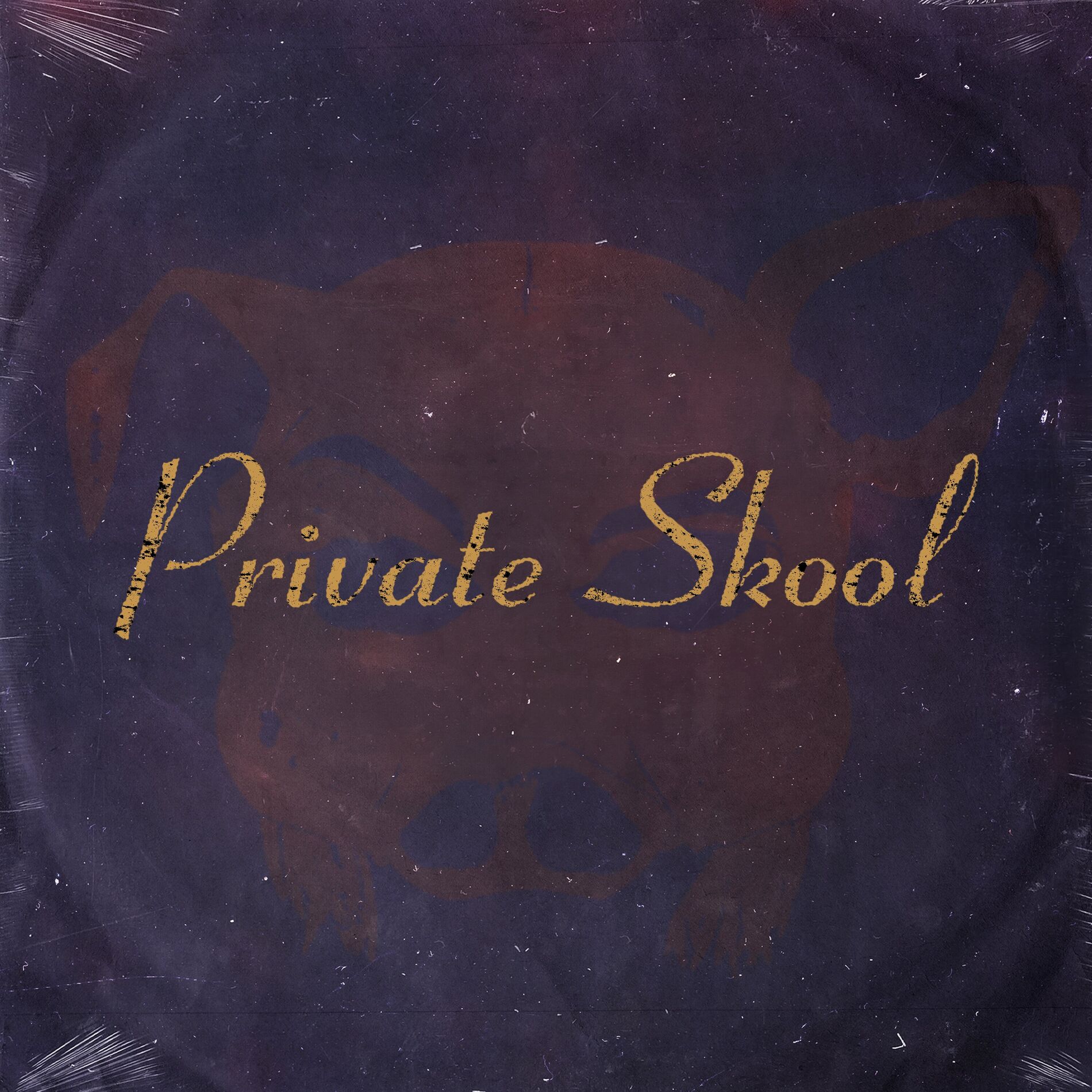 Album cover of Private Skool