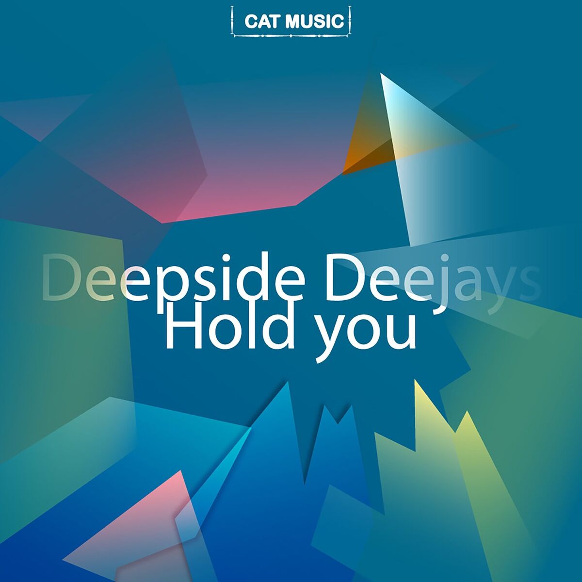Album cover of Hold You