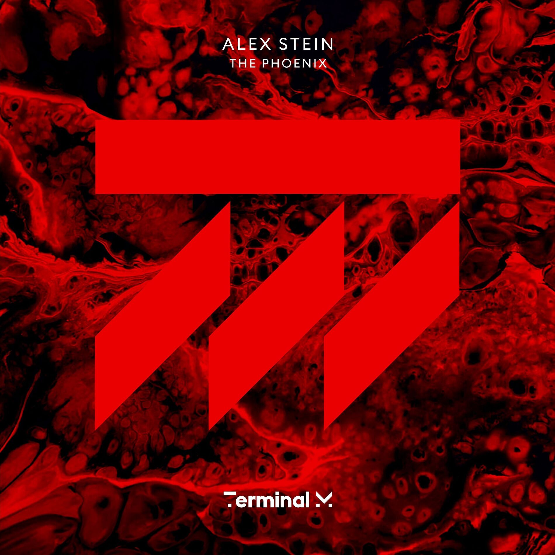 Album cover of The Phoenix