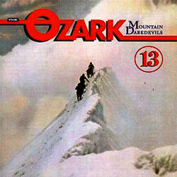 Cover of 13