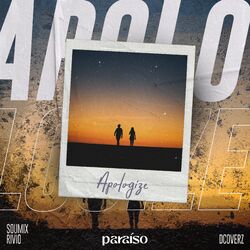 Cover of Apologize