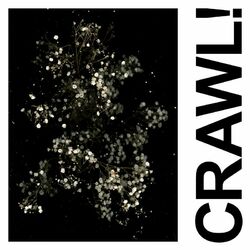 Cover of Crawl! (DGG Edit)