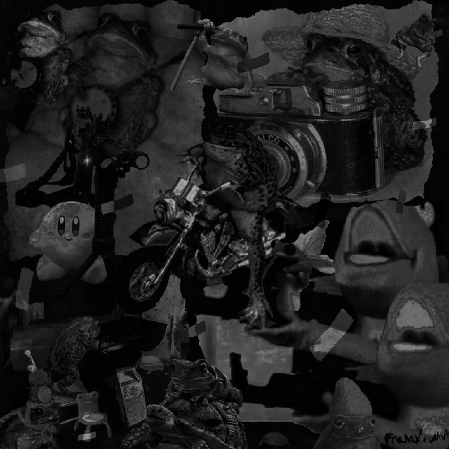 Album cover of TOADS WITH MACHINE GUNS