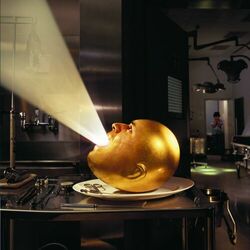 Cover of Deloused in the Comatorium