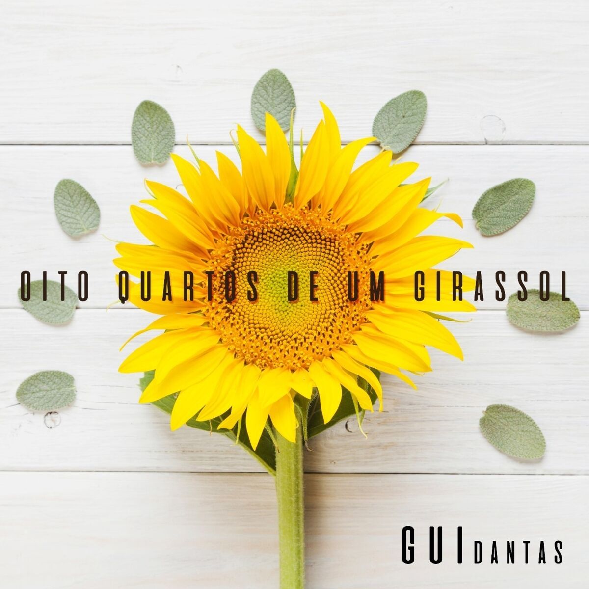 Album cover of Oito Quartos de um Girassol