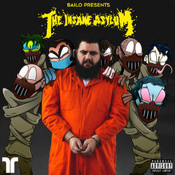 Cover of The Insane Asylum