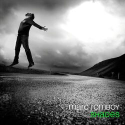 Cover of Shades
