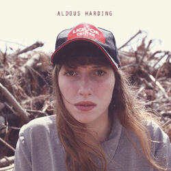 Cover of Aldous Harding